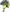 UVEX KID 3 DIRTBIKE