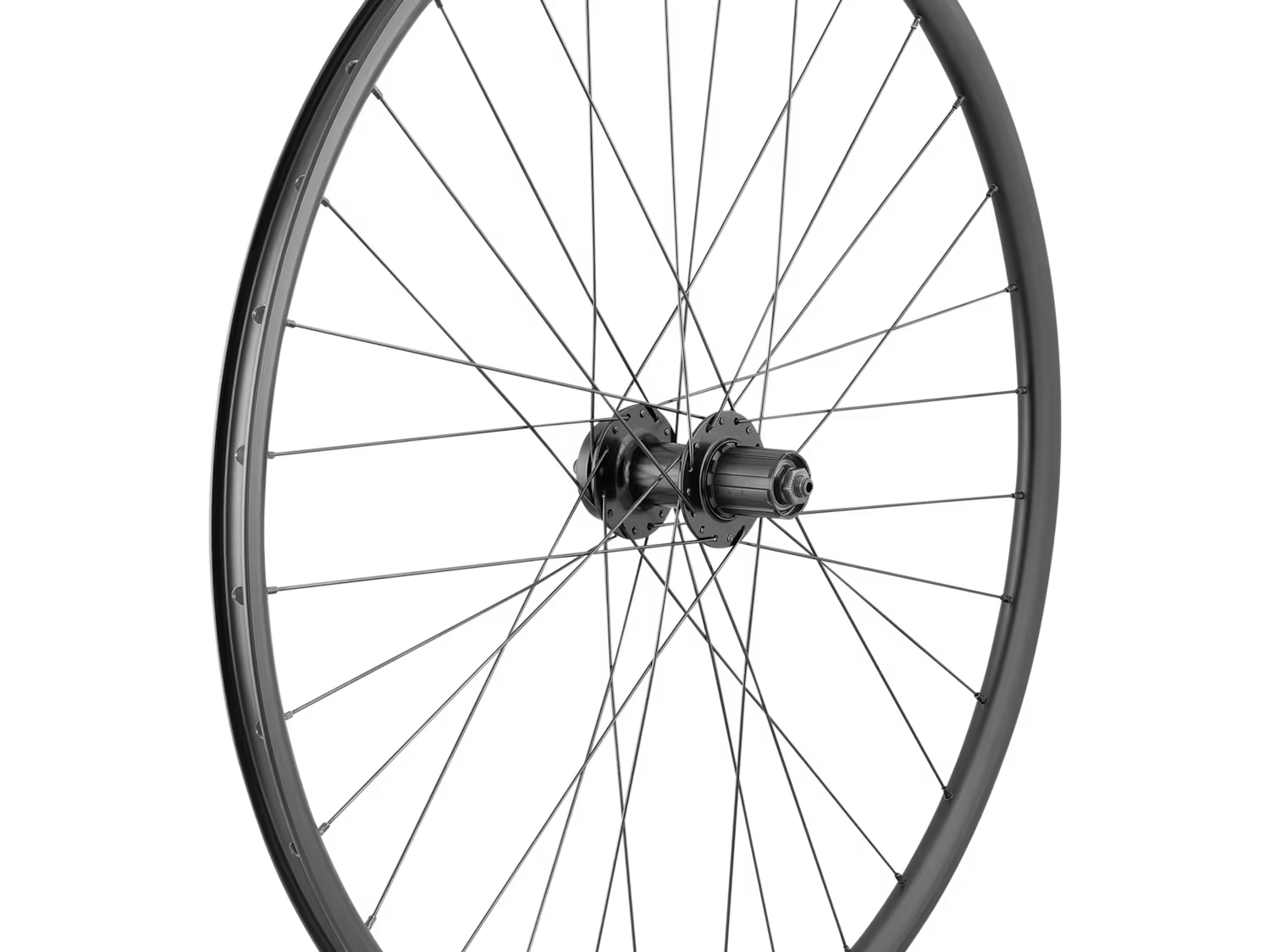 WHEEL REAR TLR/DC-22 700 DISC