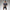 Ale Eagle Skinsuit - Black