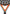 VARLION BOURNE C TITAN 2 RACKET