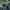 AMPP 200 + VIZ 100 SET