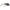 CUTLINE BRONZE FADE- BLACK