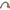 GATORSKIN TIRE 700 X 25C - 28